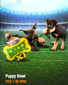 Screen Shot 2015-01-30 at 2.47.57 AM